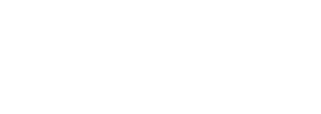 Devoteam logo