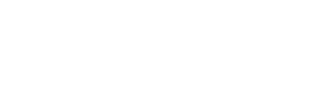 Saviynt logo
