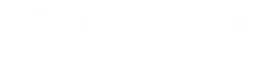 Saviynt logo