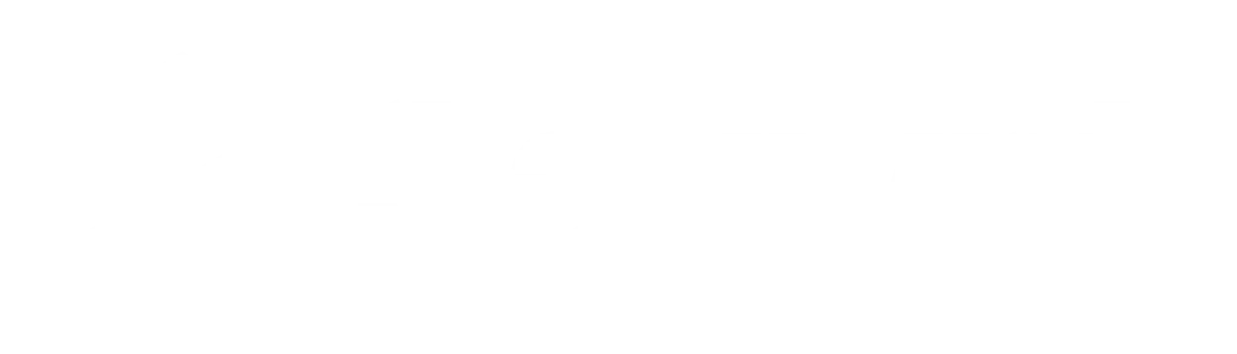 Saviynt logo