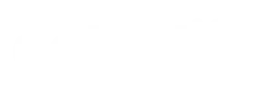Detectify logo — Next IT Security partner