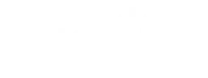 Igel logo — Next IT Security partner