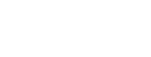 Synack 800X300 logo — Next IT Security partner